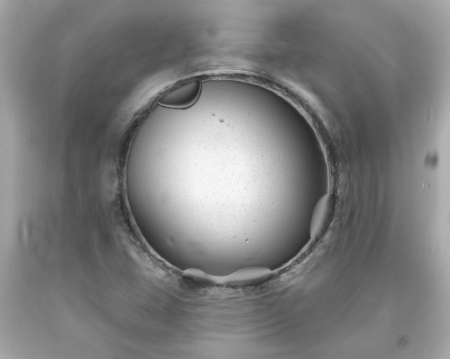 X0000094171407200711020930