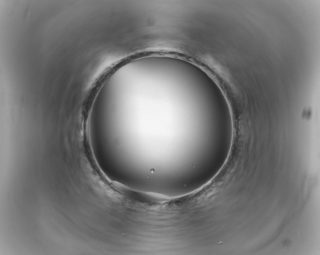 X0000094171408200711020930