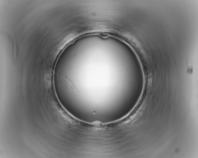 X0000094171409200711020930