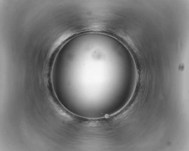 X0000094171410200711020930