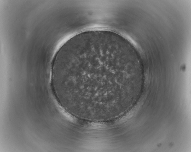 X0000094171413200711020930