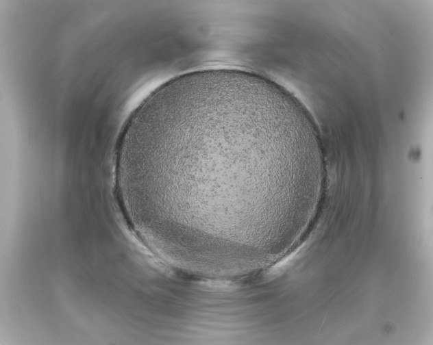 X0000094171415200711020930