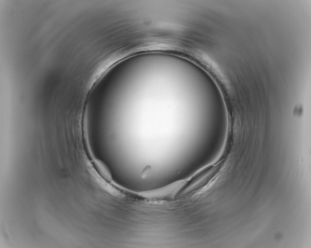 X0000094171417200711020930