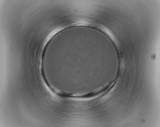X0000094171418200711020930