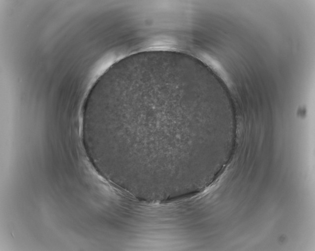 X0000094171419200711020930