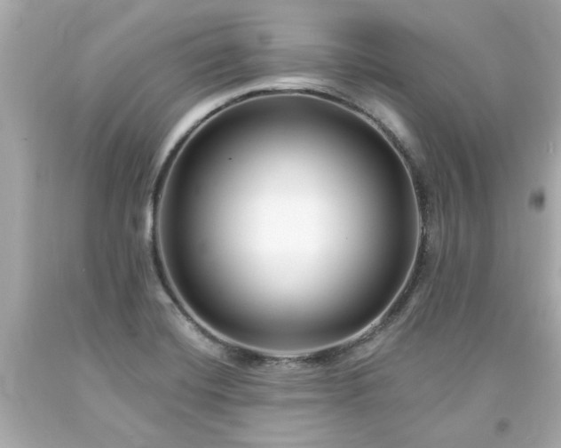 X0000094171420200711020930