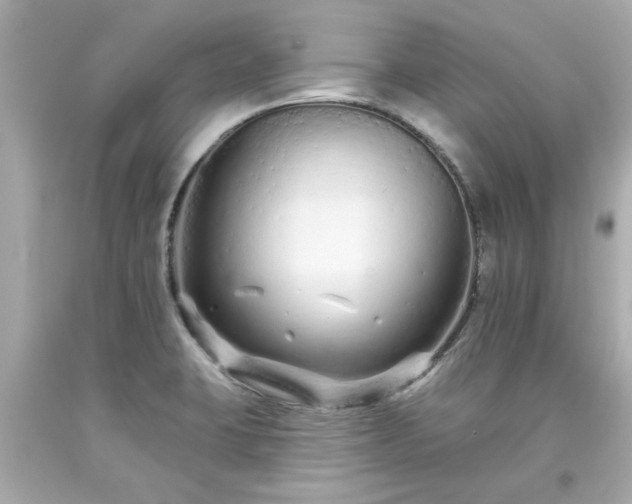 X0000094171423200711020930