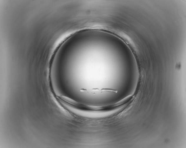 X0000094171424200711020930