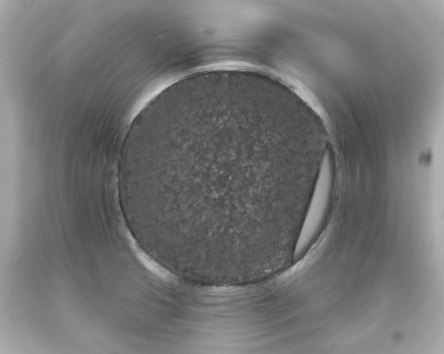 X0000094171425200711020930