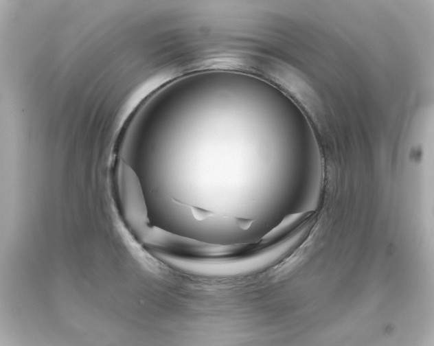 X0000094171426200711020930
