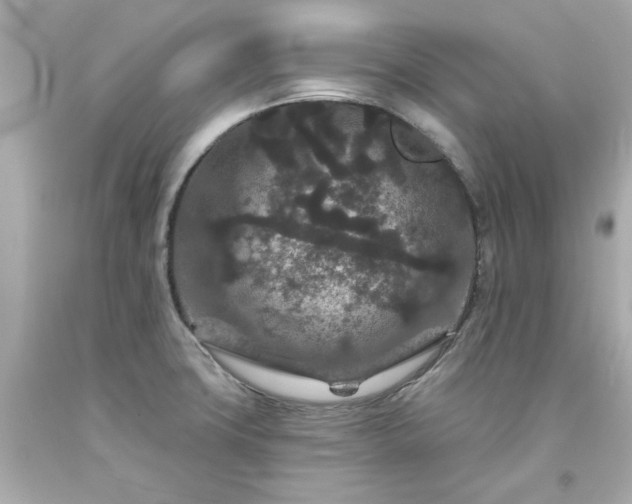 X0000094171427200711020930