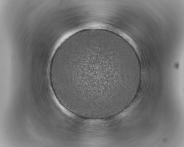 X0000094171429200711020930
