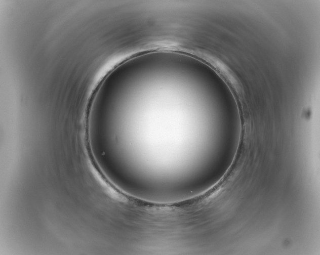 X0000094171432200711020930