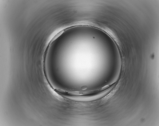 X0000094171438200711020930