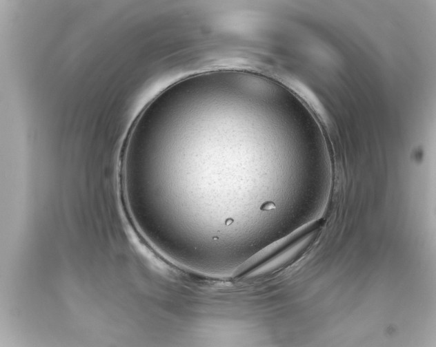 X0000094171439200711020930