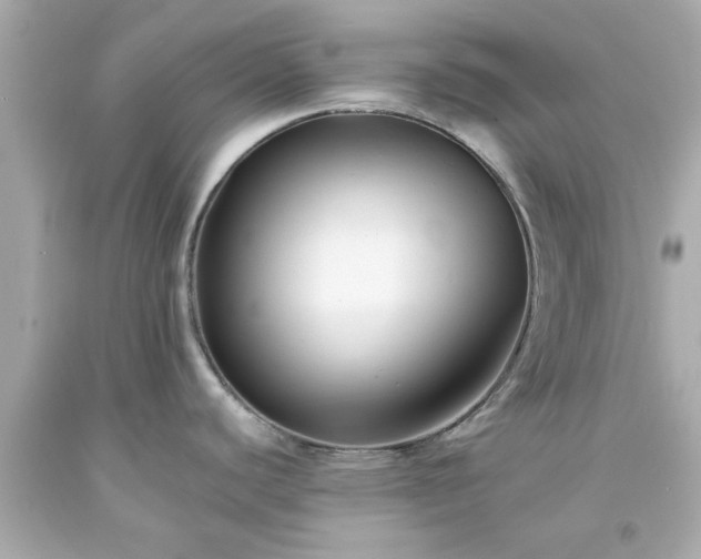 X0000094171440200711020930