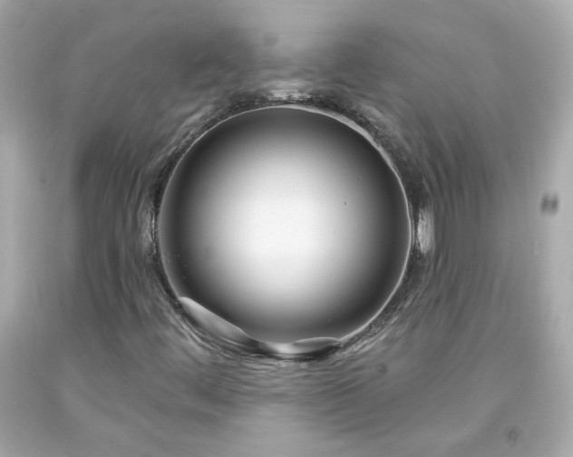 X0000094171444200711020930