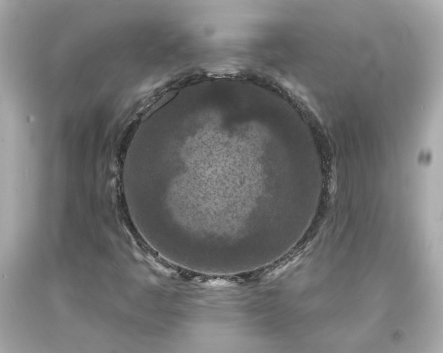 X0000094171445200711020930