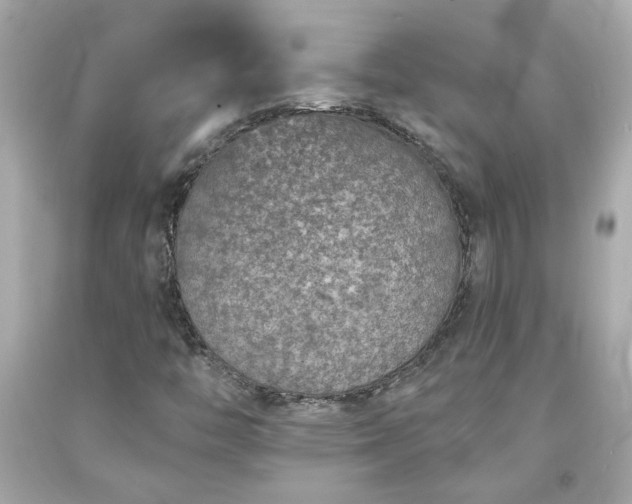 X0000094171446200711020930