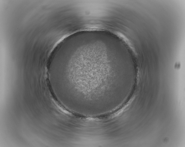 X0000094171449200711020930