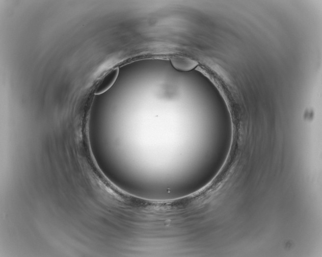 X0000094171451200711020929