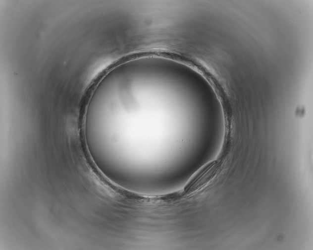 X0000094171452200711020929