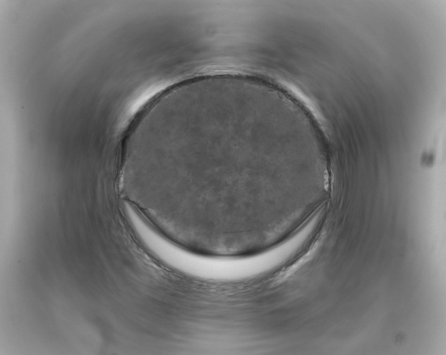 X0000094171453200711020929