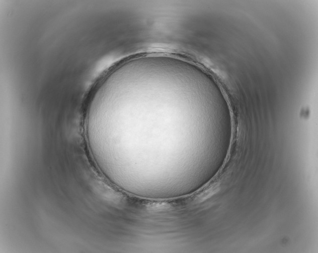 X0000094171454200711020929