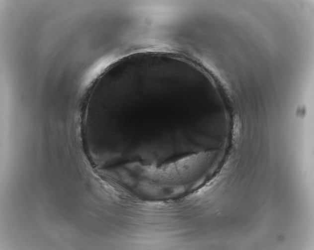 X0000094171455200711020929