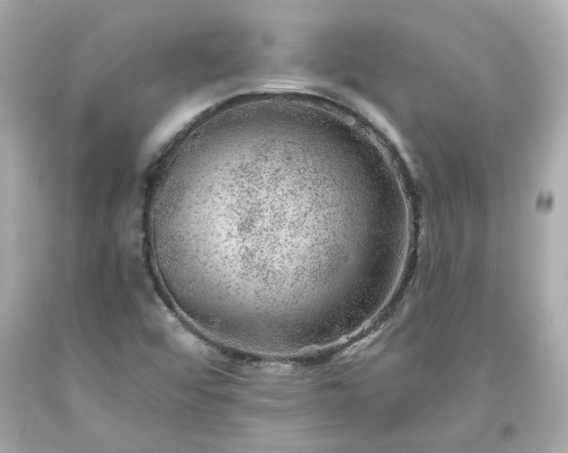 X0000094171456200711020929