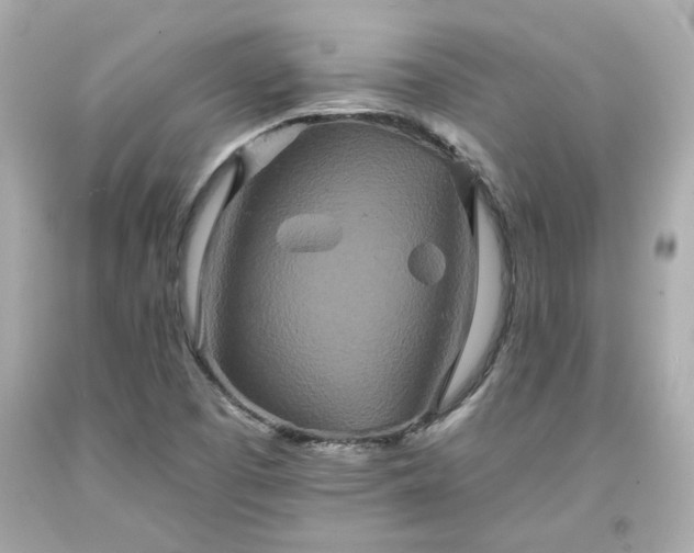 X0000094171457200711020929