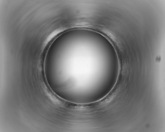 X0000094171458200711020929