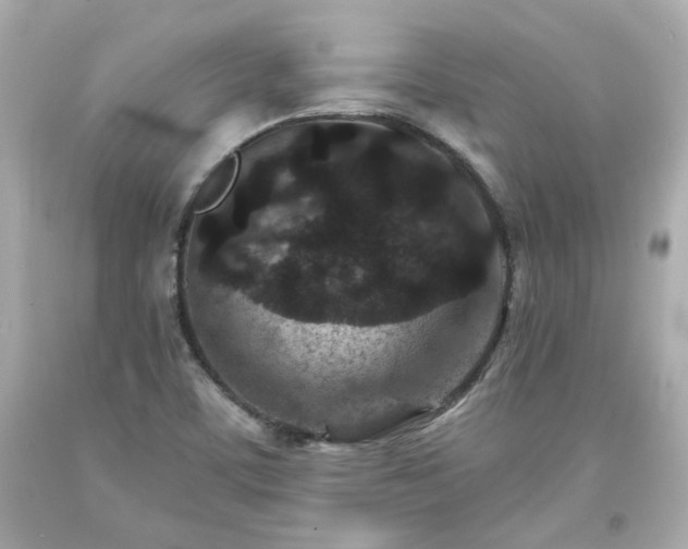 X0000094171459200711020929