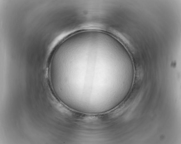 X0000094171462200711020929