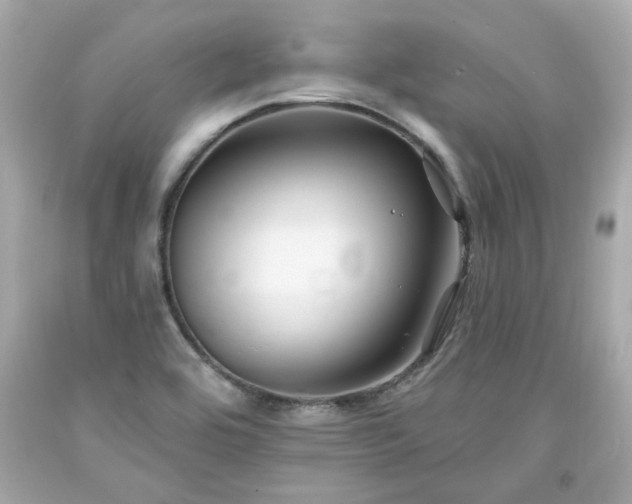X0000094171464200711020929