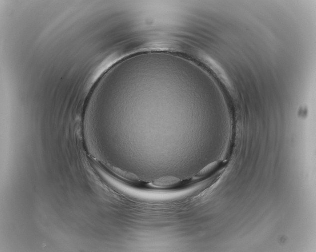 X0000094171465200711020929