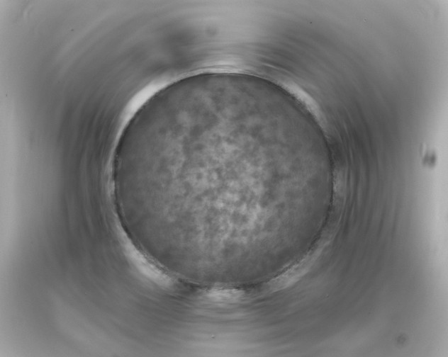X0000094171466200711020929