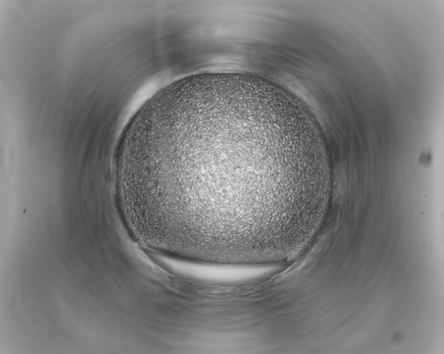 X0000094171467200711020929