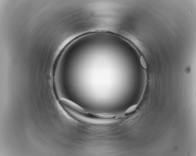 X0000094171468200711020929