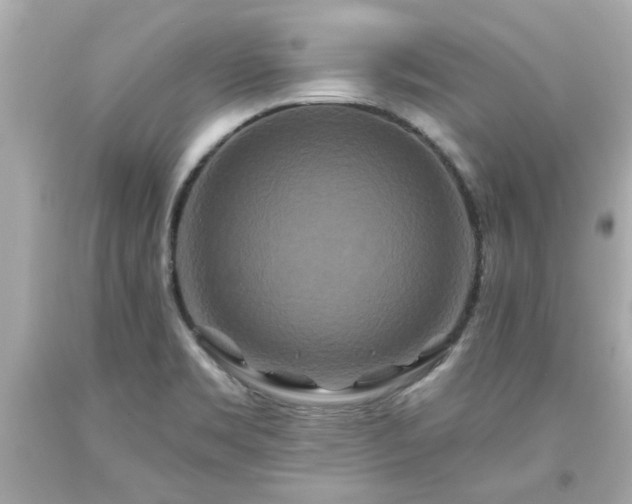 X0000094171469200711020929