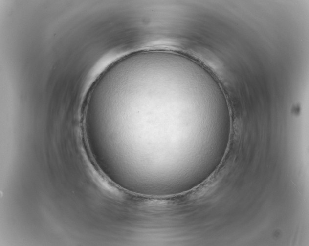 X0000094171470200711020929