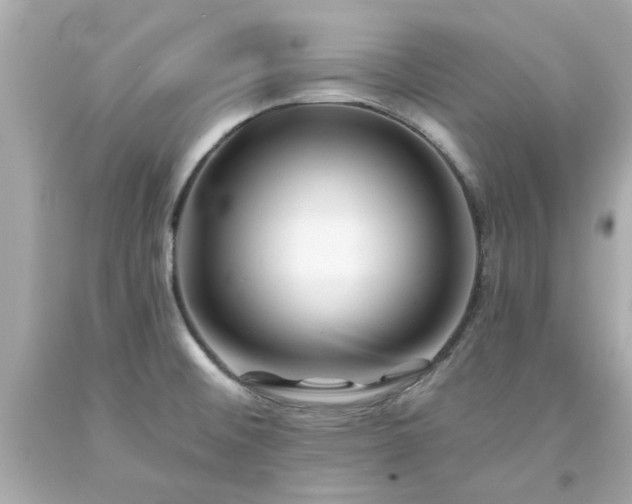X0000094171476200711020929