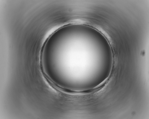 X0000094171477200711020929
