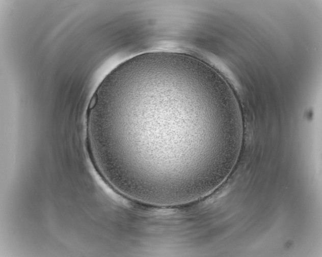 X0000094171479200711020929