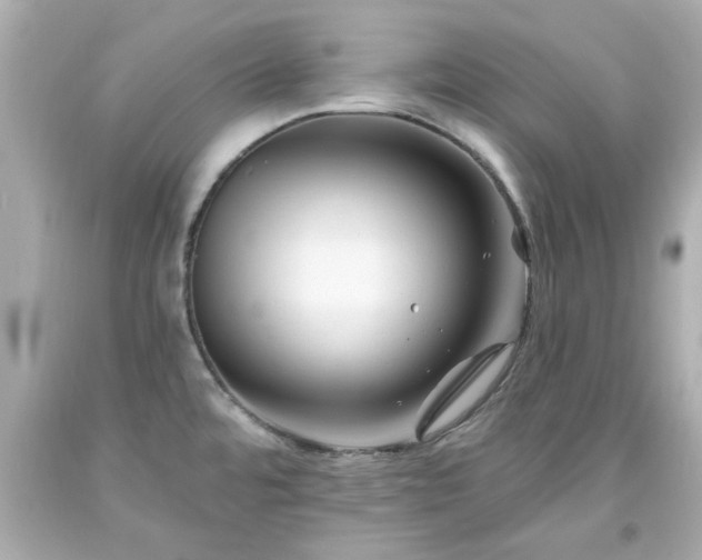 X0000094171480200711020929