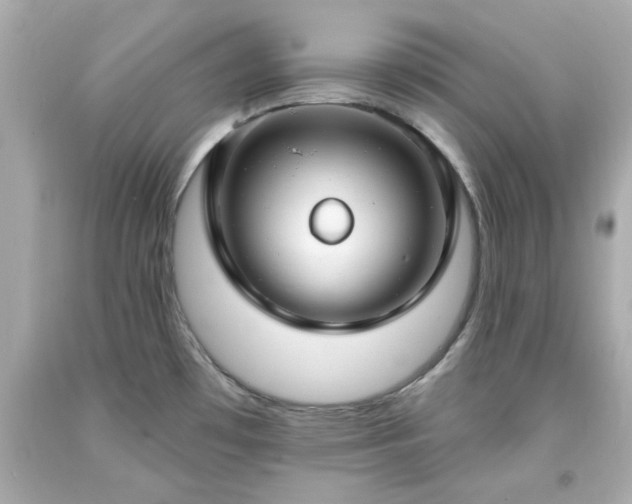 X0000094171481200711020929