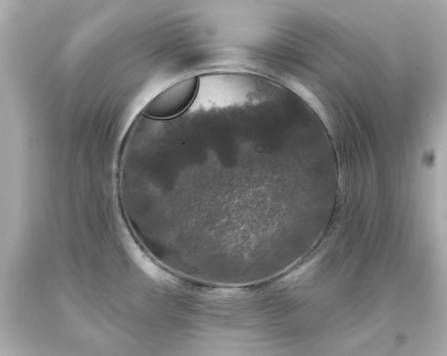 X0000094171482200711020929
