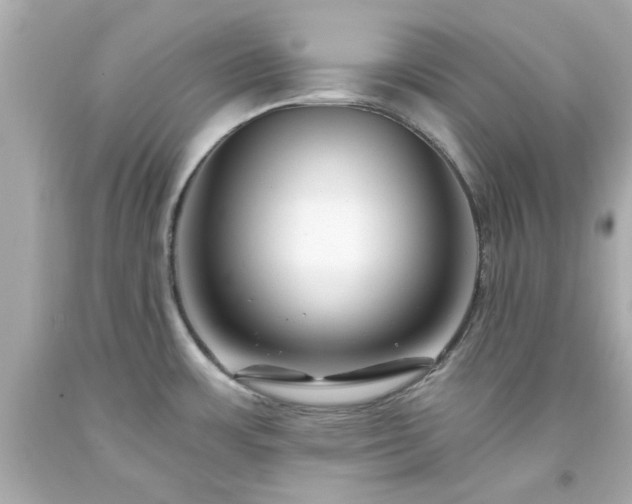 X0000094171483200711020929
