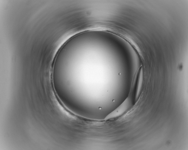 X0000094171484200711020929