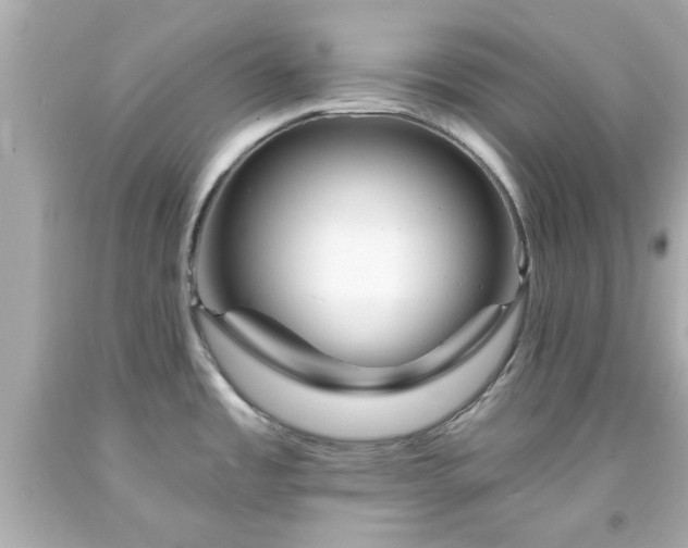 X0000094171485200711020929